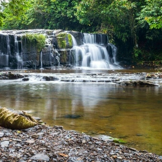 tourhub | Ecuador Galapagos Travels | 4 Days Amazon Safari Experience 