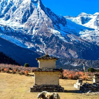 tourhub | Sherpa Expedition & Trekking | Manaslu Circuit Trek 