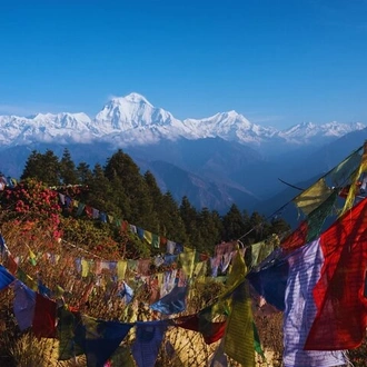 tourhub | Liberty Holidays | Shortest Poonhill trek from Kathmandu 