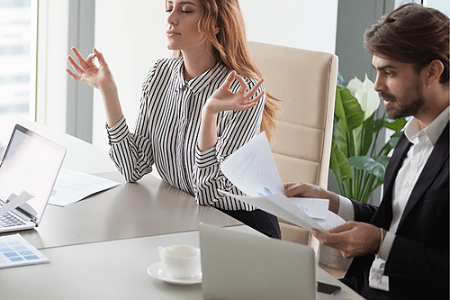 Représentation de la formation : Gestion du stress et des émotions au travail