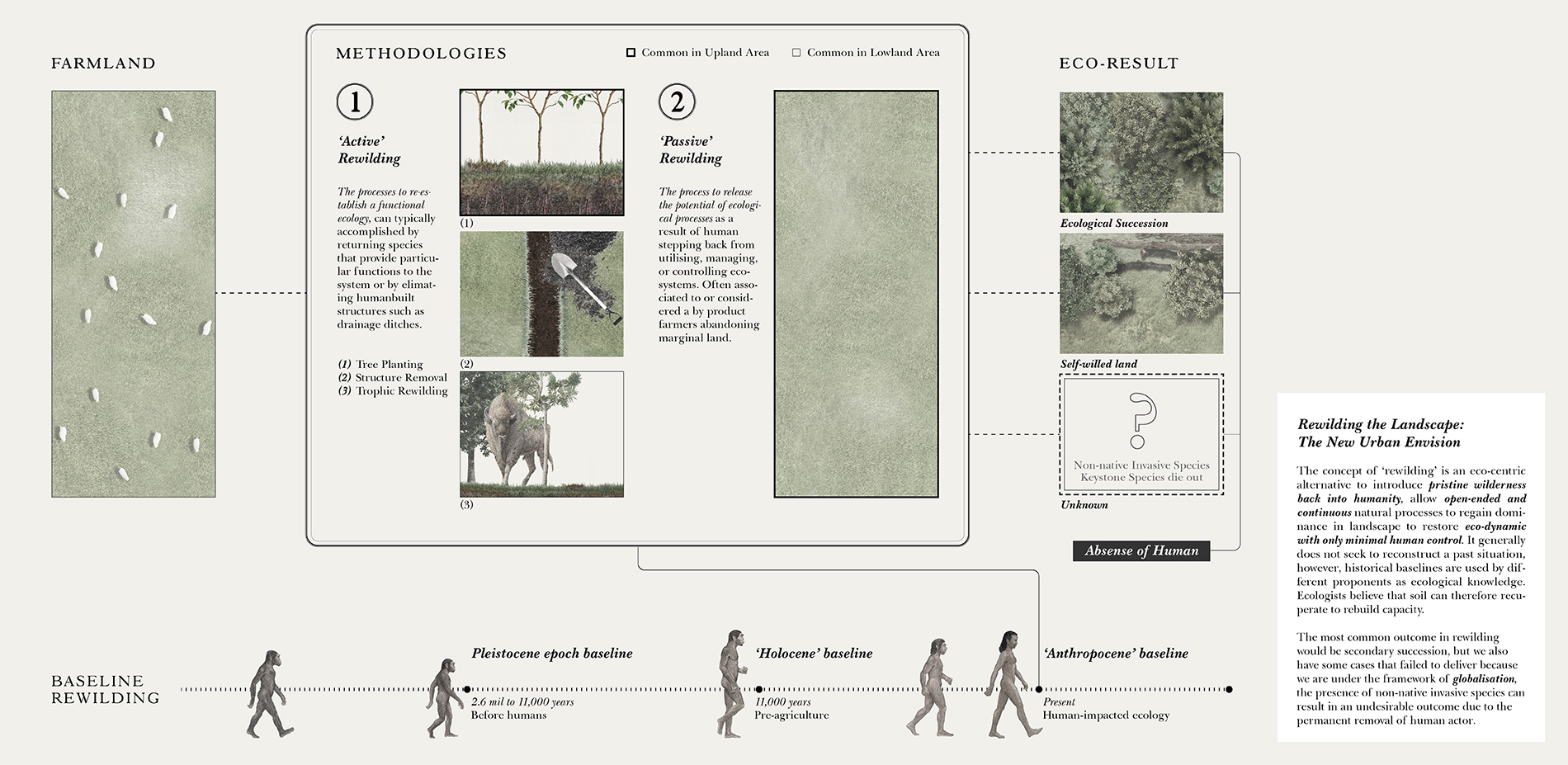 Rewilding the Landscape: The New Urban Envision