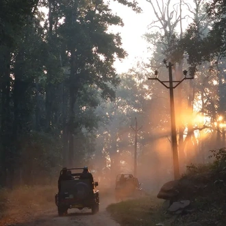 tourhub | Exodus Adventure Travels | India Tiger Safari 