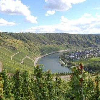 tourhub | UTracks | Moselle Bike Path 