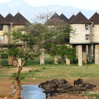 tourhub | Gracepatt Ecotours Kenya | 9 Days Kenya Classic Lodge Safari 