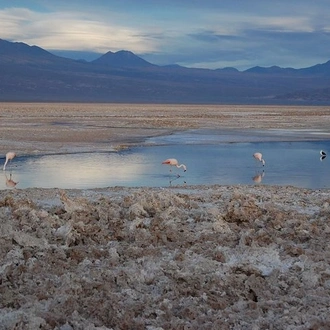 tourhub | Signature DMC | 3-Days Discovery at San Pedro de Atacama 