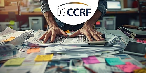 Représentation de la formation : R17 - Comment gérer une inspection DGCCRF ?