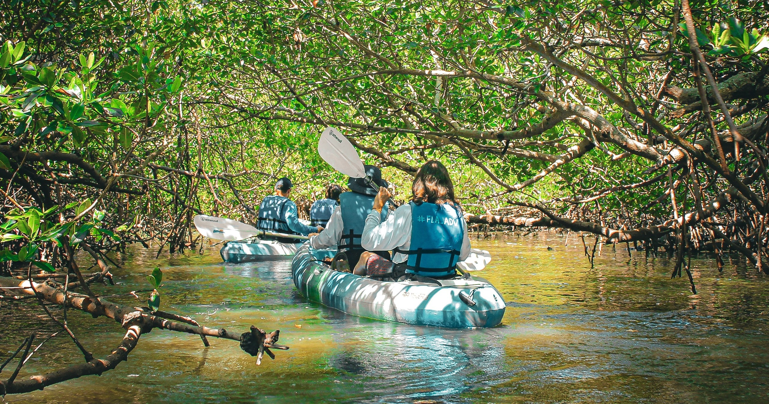 Rookery Bay Kayak Tours