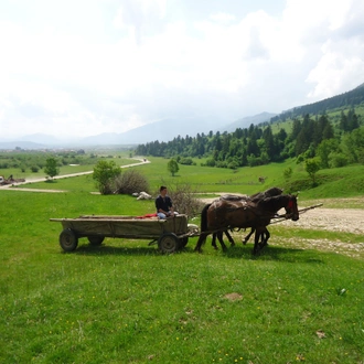 tourhub | Exodus Adventure Travels | Carpathian Walking & Bears 