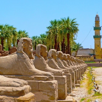 tourhub | Globus | Egypt with Nile Cruise 