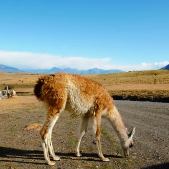 tourhub | Exodus Adventure Travels | Patagonian Highlights 