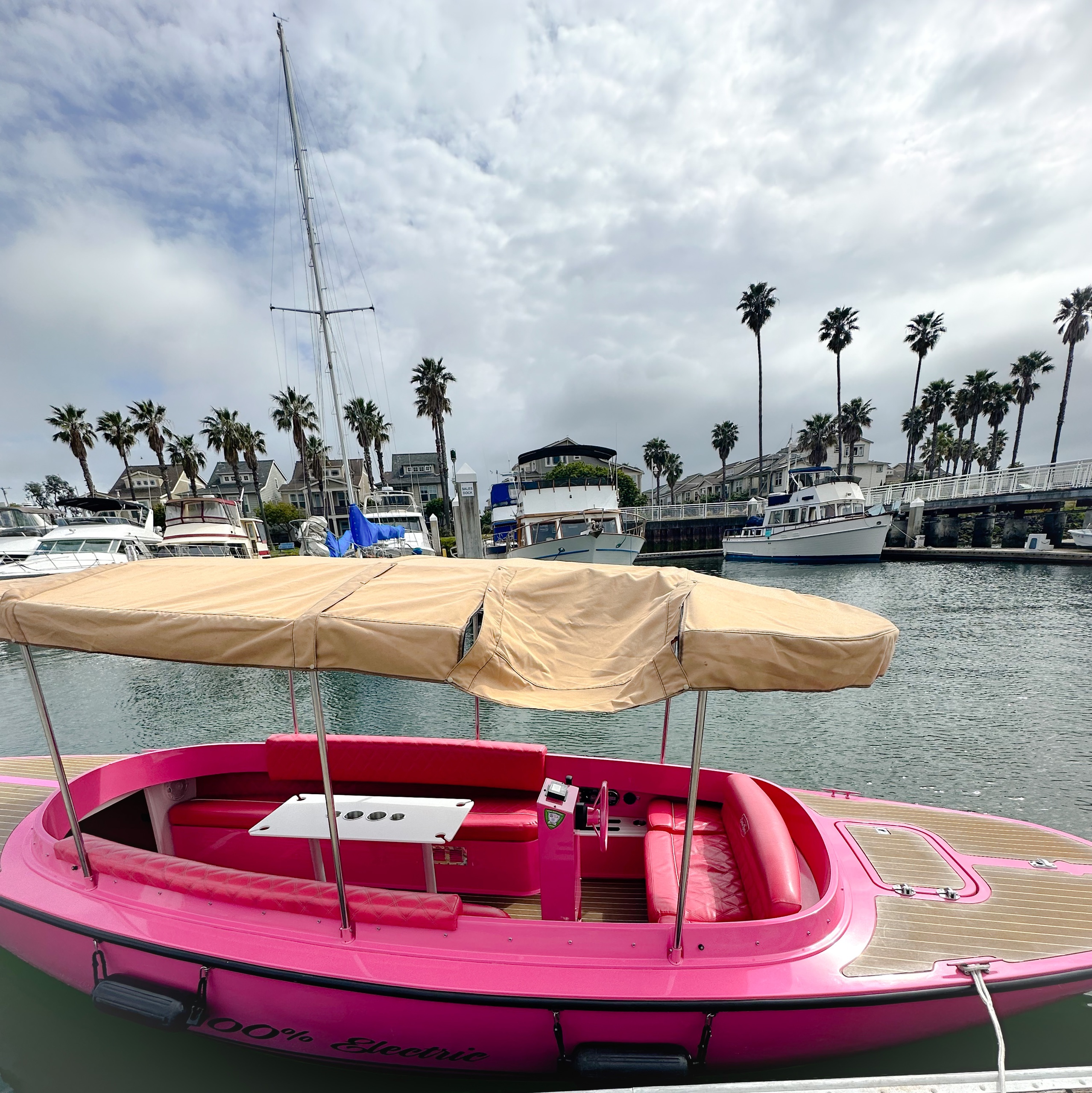 Alameda Pink Fantail Electric Boat Rental (Up to 8 Passengers) image 6