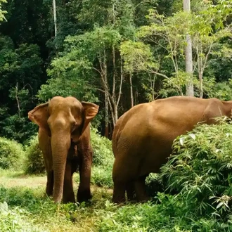 tourhub | Travel Department | Highlights of Bangkok & Cambodia incl. Angkor Wat 