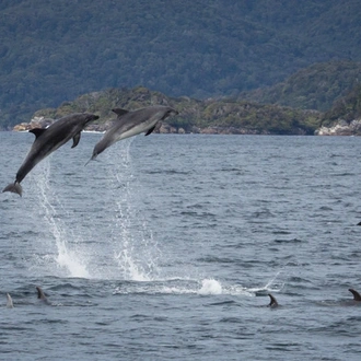 tourhub | Heritage Expeditions | Fiordland Explored 