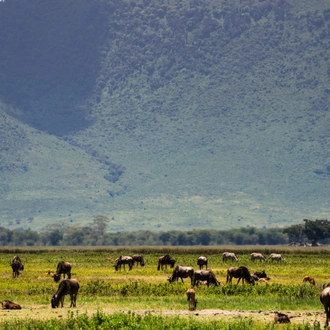 tourhub | Beach and Safari Holidays | Tanzanian  Treasures: Tarangire and Ngorongoro Safari 