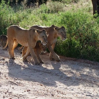 tourhub | Frenzy Adventures Limited | Out of Africa 