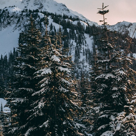 Get Social: Canadian Rockies (Winter)