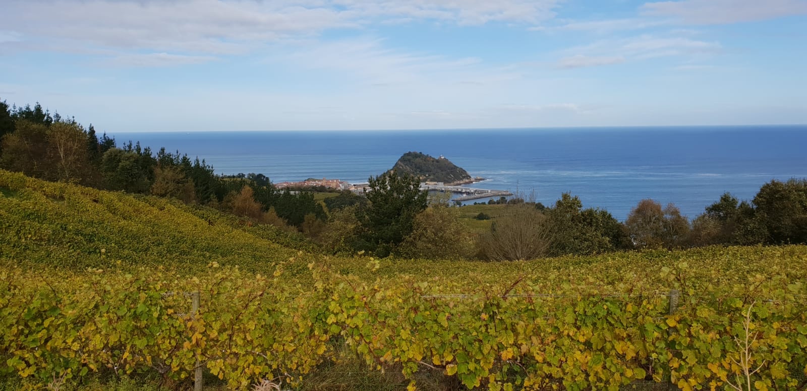 Tour de Vino Txakoli en Getaria desde San Sebastián en Semi-Privado con Recogida - Alojamientos en San Sebastián