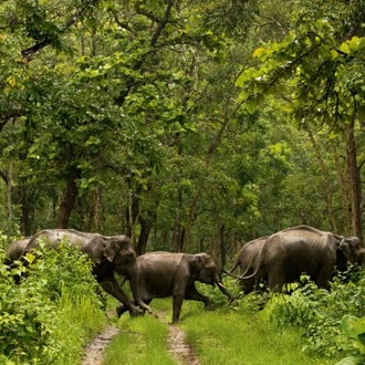 tourhub | Holidays At | Kerala Backwater With Exotic Beaches 