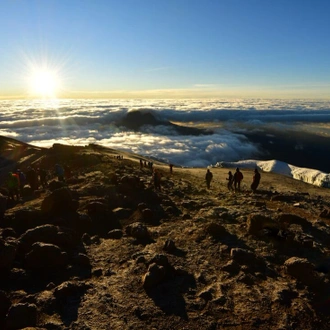 tourhub | Intrepid Travel | Kilimanjaro: Machame Route 