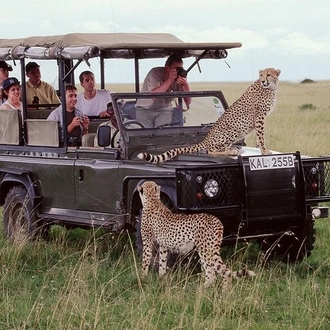 tourhub | Gracepatt Ecotours Kenya | 5 Days Aberdares Lake Nakuru & Masai Mara Wildlife Safari 