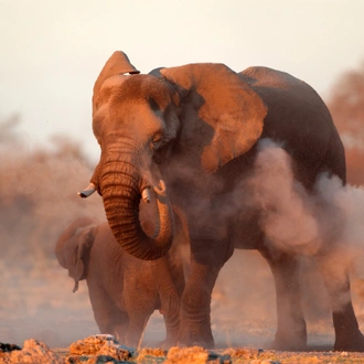 tourhub | Exodus Adventure Travels | Cycle Namibia 