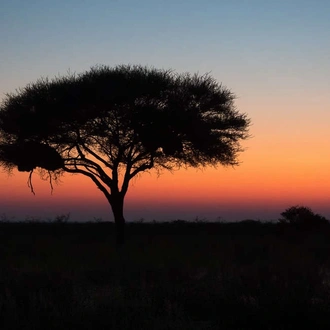 tourhub | Explore! | Namibia Lodge Safari 