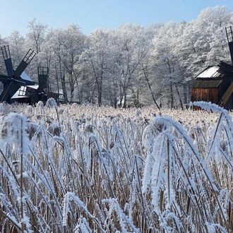 tourhub | Active Travel | Discover Medieval Transylvania 