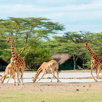 tourhub | Today Voyages | Les Secrets du Kenya en Safari et Extension a Diani Beach 