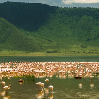 tourhub | Beach and Safari Holidays | Tanzanian Safari Adventure: Wildlife, Culture, and Wonders 