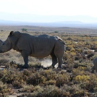 tourhub | Beach and Safari Holidays | From Zanzibar: 4 days safari and Breathtaking Lake Natron 