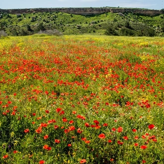 tourhub | Explore! | Walking in Northern Cyprus 