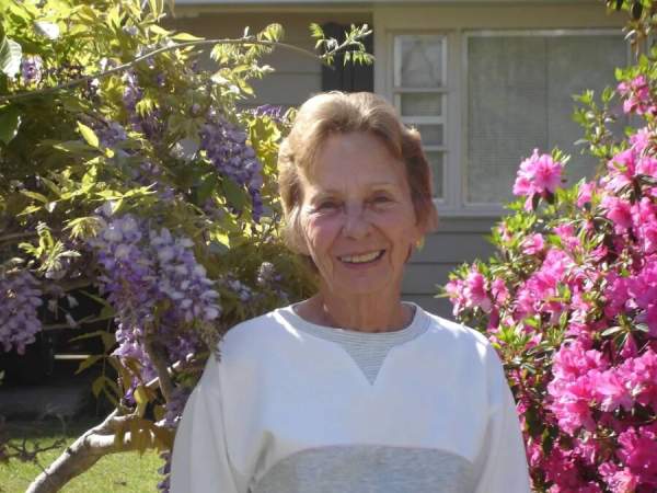 Shirley Stewart Profile Photo