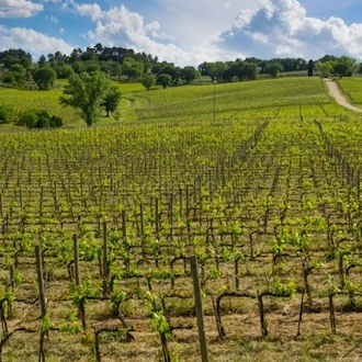 tourhub | Travel Editions | Walking in Umbria Tour 