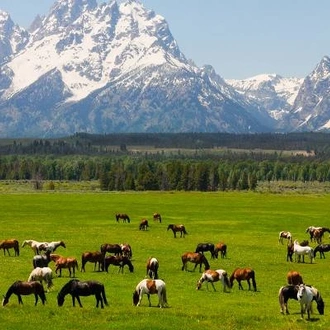 tourhub | On The Go Tours | Grand Teton & Yellowstone Explorer - 5 days 