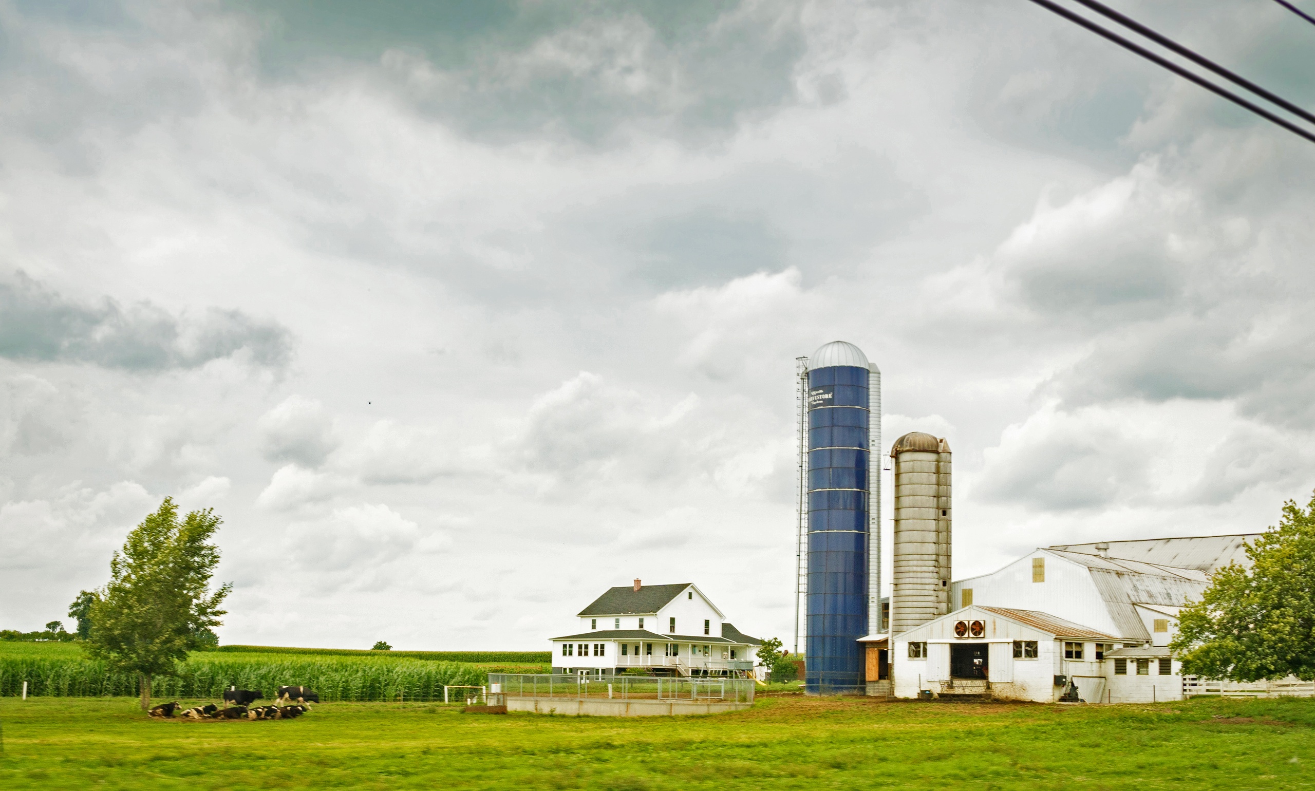 Lancaster and Amish Tour