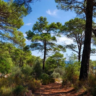 tourhub | The Natural Adventure | Walking the Lycian Way Short Break 