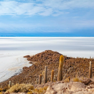 tourhub | Bamba Travel | Atacama & Uyuni Salt Flats Adventure 7D/6N 