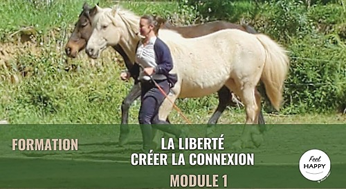 Représentation de la formation : La liberté, créer la connexion - Module 1 