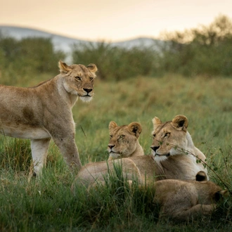 tourhub | Shepherd Holidays | Best Kenya Tour: Sunsets & Safaris, a Kenyan Tale in 5 Days  