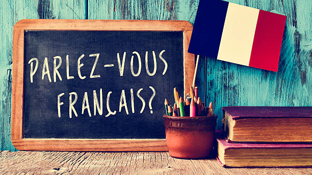 Représentation de la formation : Français Langue Étrangère - Obtenir un niveau A2 en Visioconférence