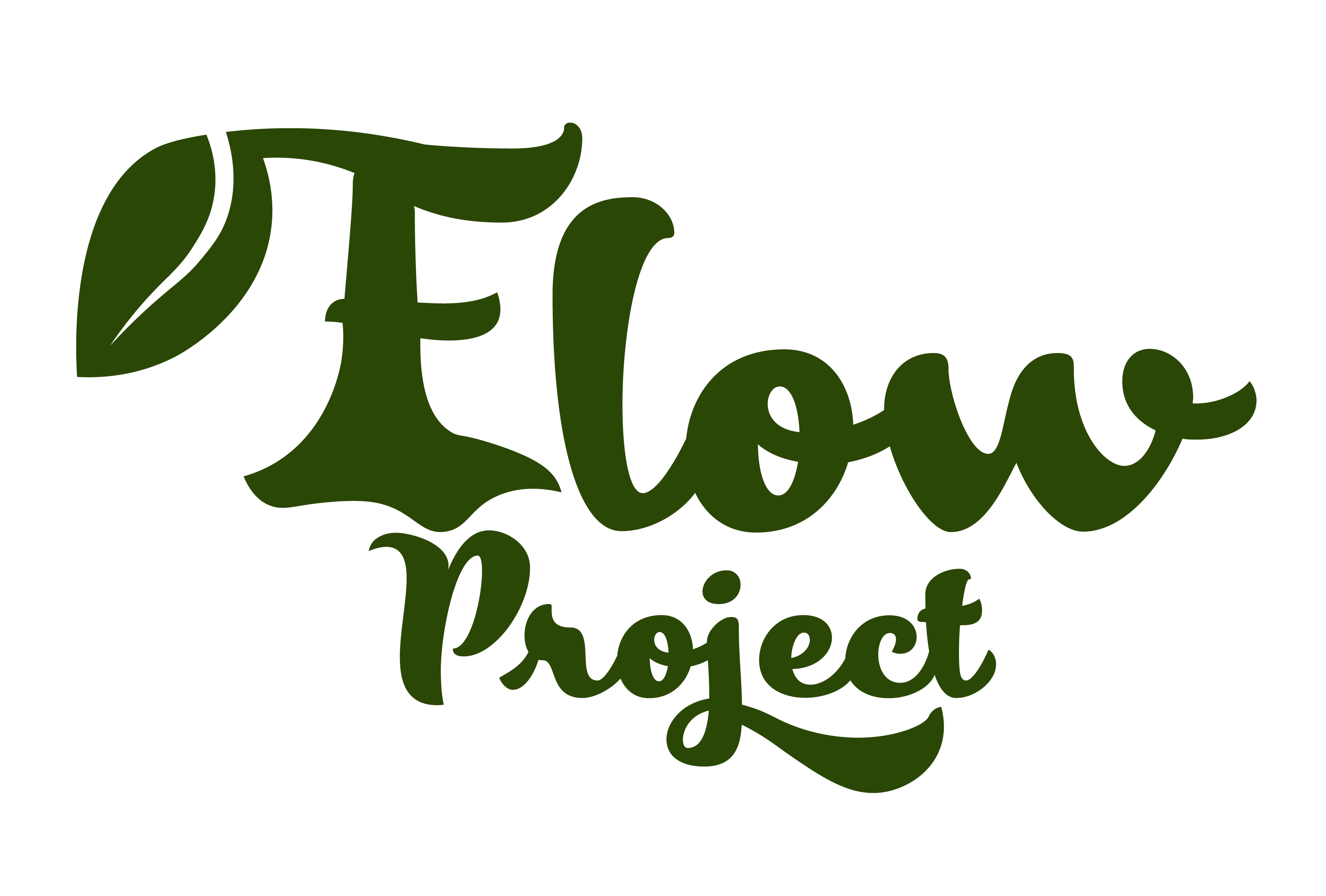 The FLOW Project logo