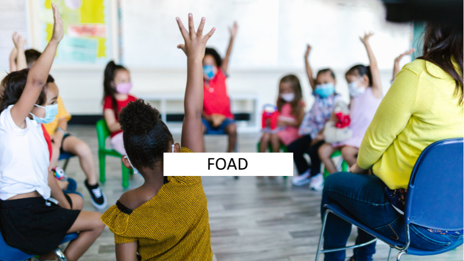 Représentation de la formation : CAP Accompagnant Educatif Petite Enfance + EG - FOAD