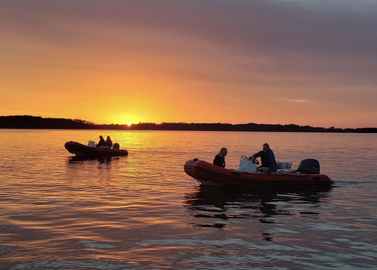 Sunset Mini Boat Dolphin Tour