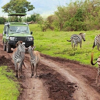 tourhub | Gracepatt Ecotours Kenya | 4-Day Tanzania Camping Safari to Lake Manyara, Serengeti, and Ngorongoro Crater 