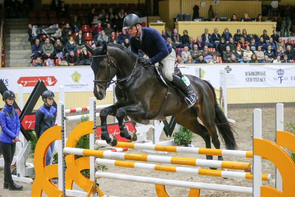 En av årets många höjdpunkter spås bli när Jeroen Dubbeldam testrider femåriga hopphästar under SWB Equestrian Weeks. 
Fotograf: Roland Thunholm