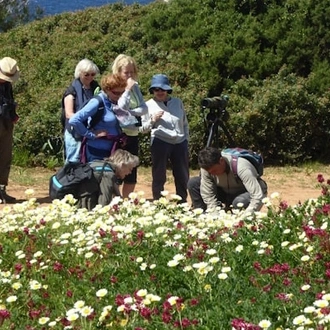 tourhub | Travel Editions | Flowers and Wildlife of the Balearics - Mallorca and Menorca tour 