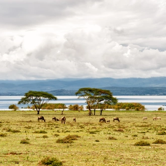 tourhub | Exodus Adventure Travels | Kenya Safari Adventure 