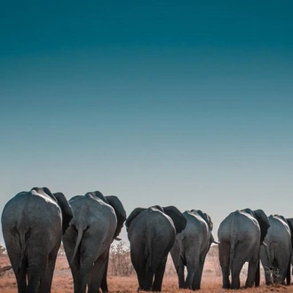 tourhub | Chameleon Safaris Namibia | Dunes, Wildlife & EHRA Experience 