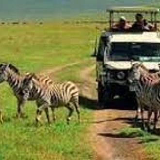 tourhub | Eddy tours and safaris | 5 Days Tanzania Safari 