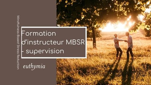 Représentation de la formation : Supervision de l'enseignement du programme MBSR